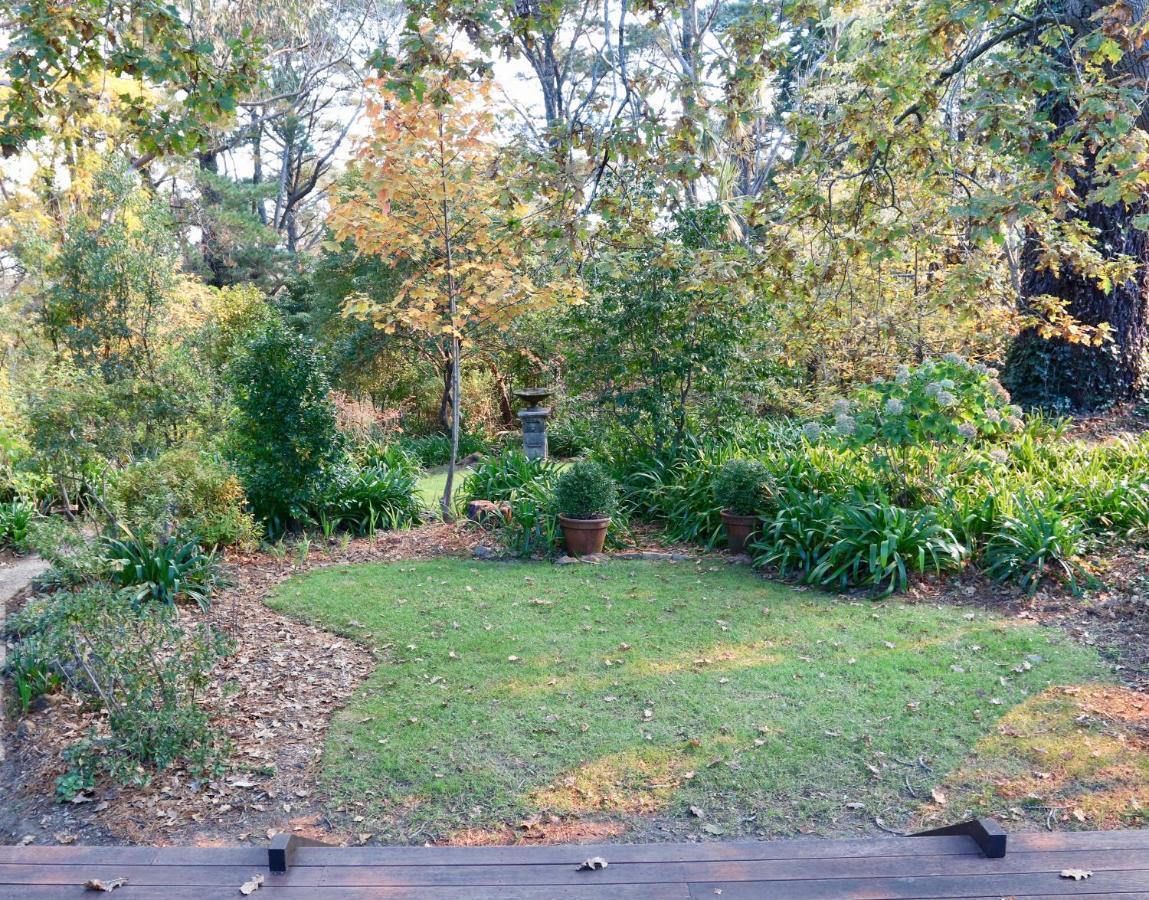 Poet'S Cottage - Fireplace, Close To Treks Wentworth Falls Exterior photo